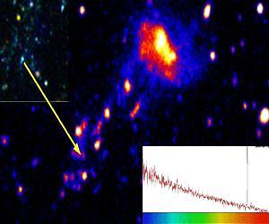 Discovery of a Blue Supergiant Star Born in the Wild