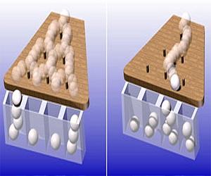 Investigating The Random Motion Of Quantum Particles