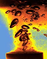 Armored Bubbles Can Exist In Stable Non Spherical Shapes