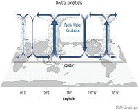 The Walker Circulation: ENSO's atmospheric buddy
