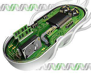 Cell circuits remember their history
