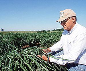 A Quick Way to Grade Grasses for Ethanol Yields