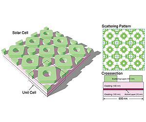 Evolution Inspires More Efficient Solar Cell Design