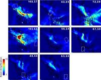 Sedimentary Bathtub Amplifies Earthquakes