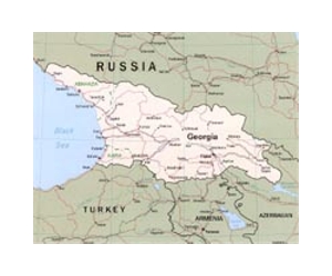 Defence minister quits Georgia amid prosecution fears