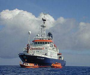 Respiratory disorder in the ocean