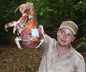 Researchers Use GPS Tracking to Monitor Crab Behavior