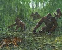 Why the real King Kong became extinct