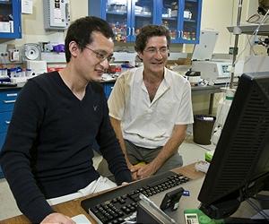 Physicists Control Chemical Reactions Mechanically