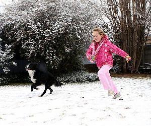 Johannesburg marvels at rare snowfall