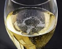 Reinventing French fizz in face of climate change
