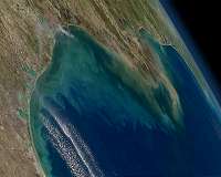 Scientist finds dozens of unknown submarine landslides in Gulf of Mexico