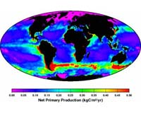 Marine Life Stirs Ocean Enough To Affect Climate