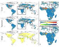 Climate extremes explain global crop yield variations