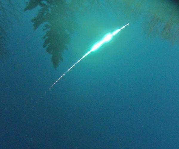 'Unexpected' space traveller defies theories about origin of Solar System
