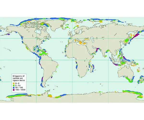Microbes might be gatekeepers of the planet's greatest greenhouse gas reserves