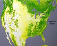 NASA Satellites Can See How Climate Change Affects Forests