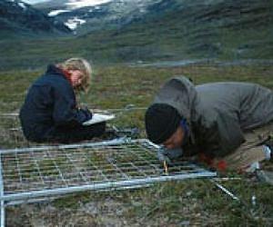 Plants disappear as a result of climate changes