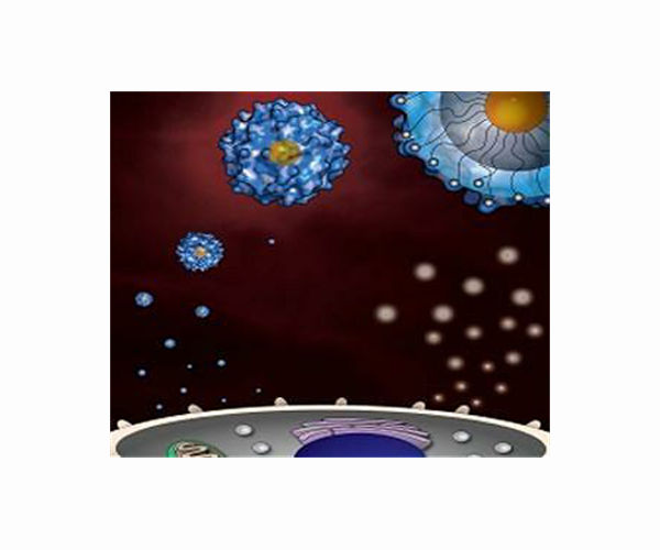 A hitchhiker's guide to the galaxy of space immunology