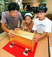 'Gold Bug' Sheds Light on How Some Gold Deposits Formed