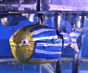 The Secret's in the (Robotic) Stroke