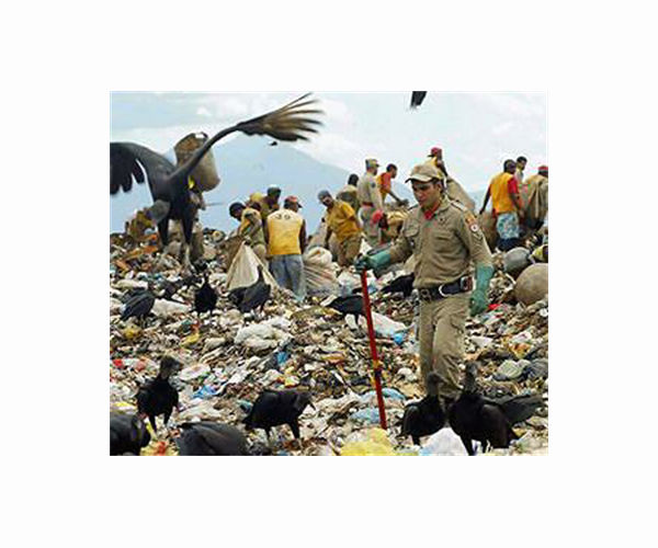 Waste not want not: Santiago's poorest district plants recycling seed