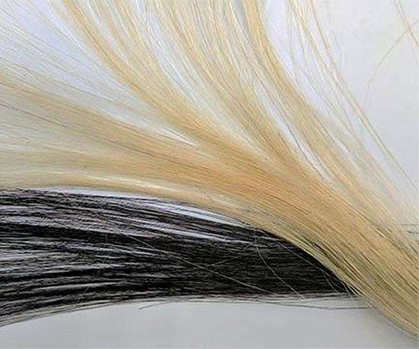 Hair today, green tomorrow: UK stylists join eco-drive