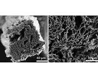 Rutgers engineers use microwaves to produce high-quality graphene