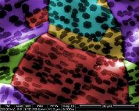 Symmetry matters in graphene growth