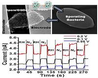 Tiny bio-robot is a germ suited-up with graphene quantum dots
