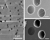 Graphene withstands high pressure, may aid in desalination