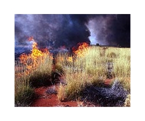Australia bushfires rage in 'catastrophic' conditions