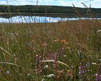 UAlberta scientists part of unprecedented worldwide biodiversity study