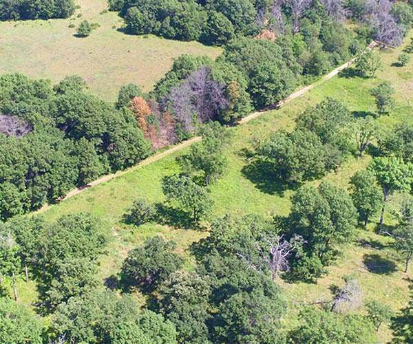 Plant diversity may never fully recover from agriculture without a helping hand