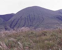 Field Tested: Grasslands Won't Help Buffer Climate Change As CO2 Levels Rise
