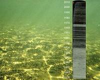 Human activities trigger hypoxia in freshwaters around the globe