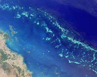 Shellfish reefs: Australia's untold environmental disaster