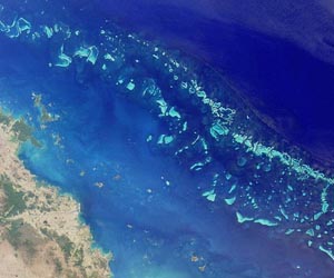 Slab of Barrier Reef sea floor breaking off: scientists
