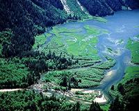 Canada protects ancient Pacific coast forest from logging, hunting