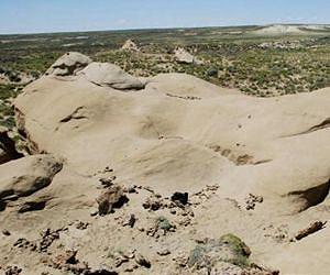 Human, artificial intelligence join forces to pinpoint fossil locations