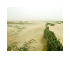 Trans-Sahara gas project plagued by delays