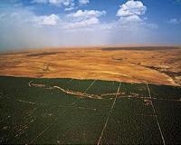 Urgent action needed to tackle Sahel's lack of rainfall: UN