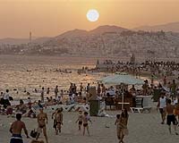 Solar Leads Laguna Beach Fire Watch System