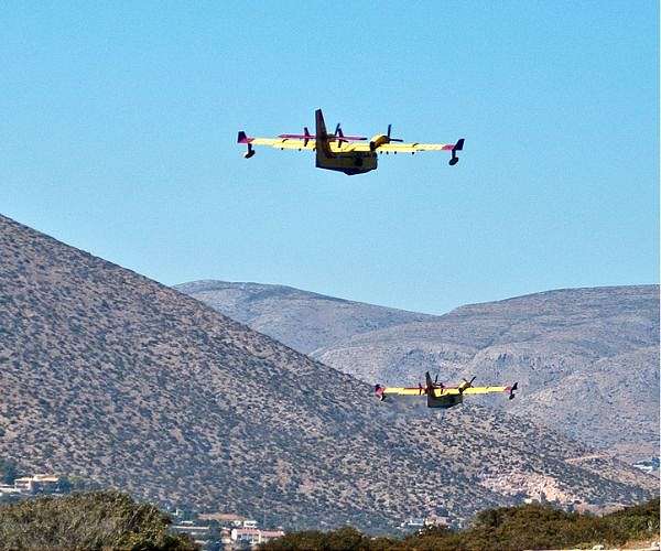 Forest fires: a record year