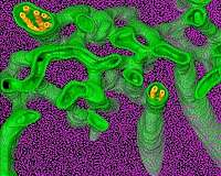 Algae testbed experiment yields data useful for future projects
