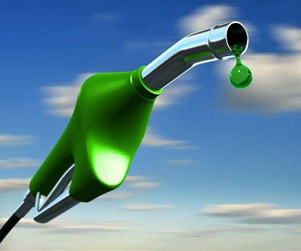 Biden's biofuel: Cheaper at the pump, but high environmental cost?
