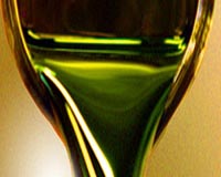 Researchers produce two bio-fuels from a single algae