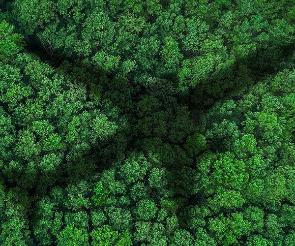 How Raytheon Technologies is engineering sustainable flight