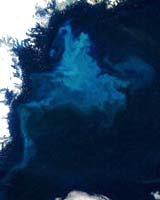Climate Warming Reduces Ocean Food Supply