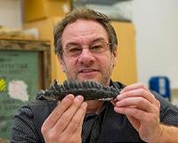 Paleo-engineering: New study reveals complexity of Triceratops' teeth